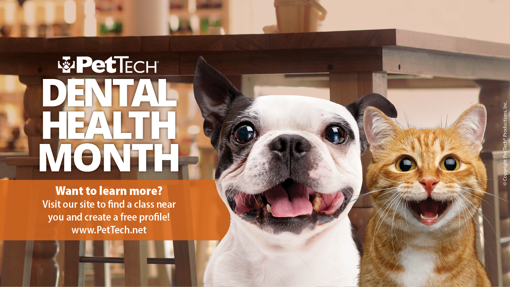 February is Pet Dental Health Month